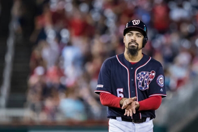 Anthony Rendon Poster 10008237