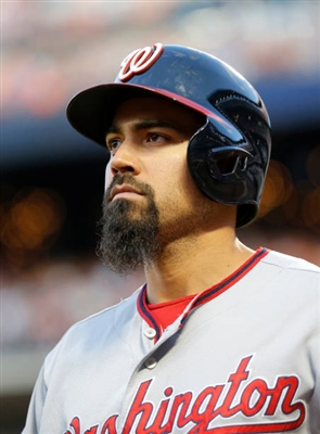 Anthony Rendon Poster 10008261