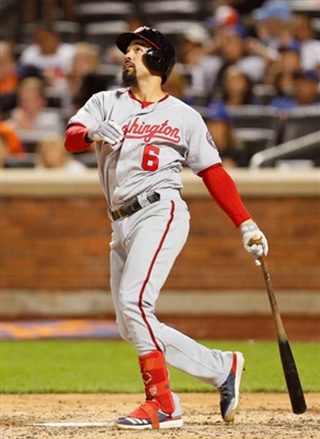 Anthony Rendon Poster 10008265