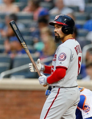 Anthony Rendon Poster 10008270