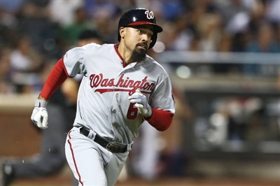 Anthony Rendon Poster 10008271