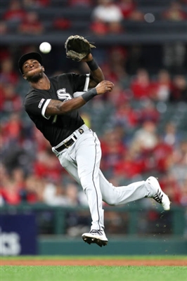 Tim Anderson canvas poster