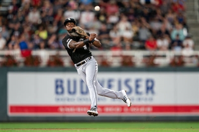 Tim Anderson Poster 10008515