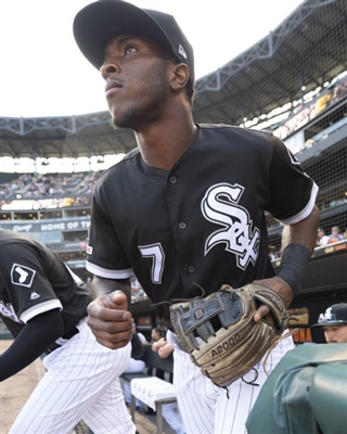 Tim Anderson Poster 10008541