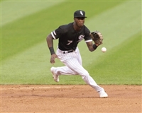 Tim Anderson poster