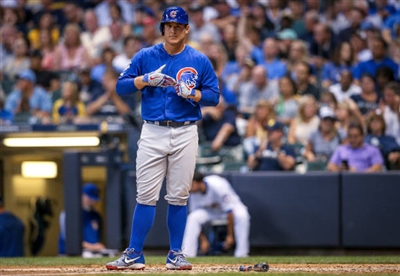 Anthony Rizzo Stickers 10008767