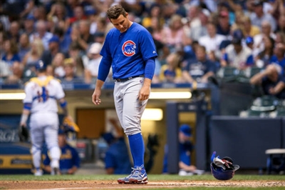 Anthony Rizzo Stickers 10008770