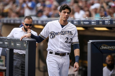 Christian Yelich puzzle 10008851