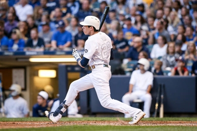 Christian Yelich puzzle 10008880
