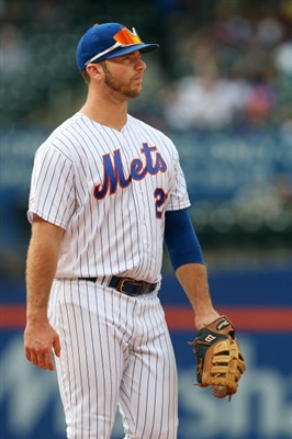 Pete Alonso Poster 10012241
