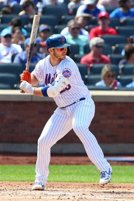 Pete Alonso Poster 10012263