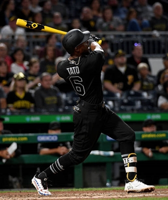 Starling Marte Poster 10015321