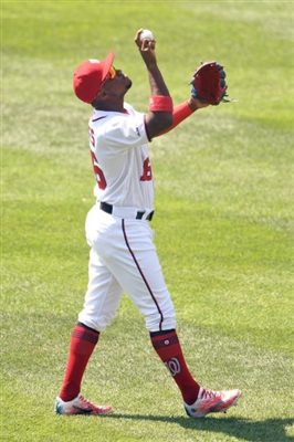 Victor Robles Poster 10026815
