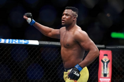 Francis Ngannou Stickers 10027456