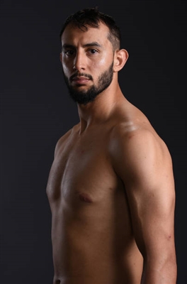 Dominick Reyes Stickers 10028432