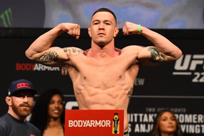 Colby Covington Poster 10029434