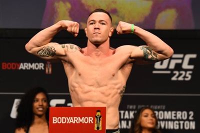 Colby Covington Stickers 10029435
