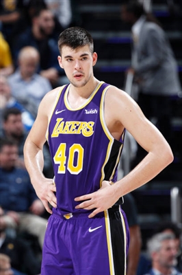 Ivica Zubac Stickers 10045647