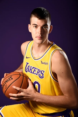 Ivica Zubac Stickers 10045660