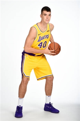 Ivica Zubac Poster 10045661