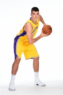 Ivica Zubac Poster 10045669