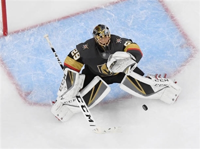 Marc-Andre Fleury poster