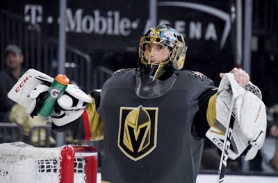 Marc-Andre Fleury Poster 10053204