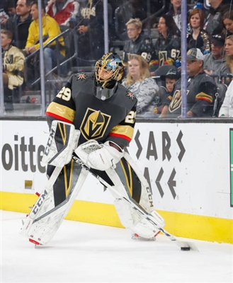 Marc-Andre Fleury Poster 10053213