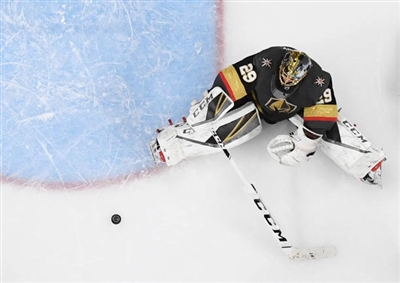 Marc-Andre Fleury Stickers 10053242