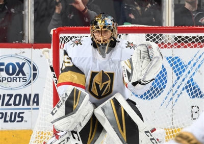 Marc-Andre Fleury Stickers 10053257