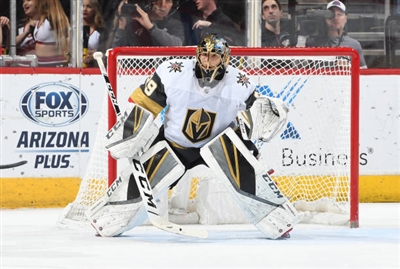 Marc-Andre Fleury Poster 10053258