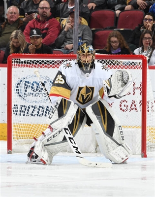 Marc-Andre Fleury Poster 10053259