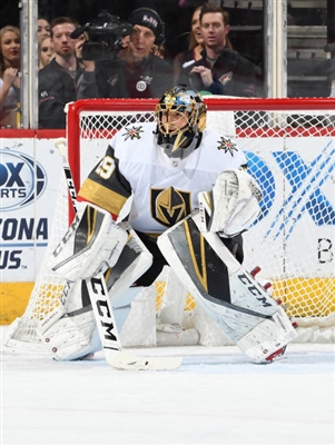 Marc-Andre Fleury Stickers 10053261