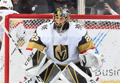 Marc-Andre Fleury Stickers 10053262