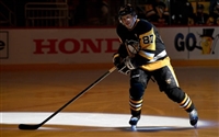 Sidney Crosby hoodie #10054529