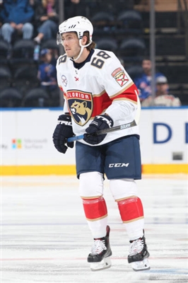 Mike Hoffman Poster 10058110