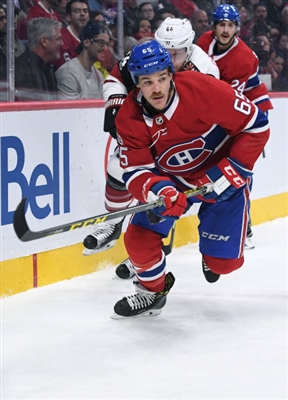 Andrew Shaw Poster 10067990