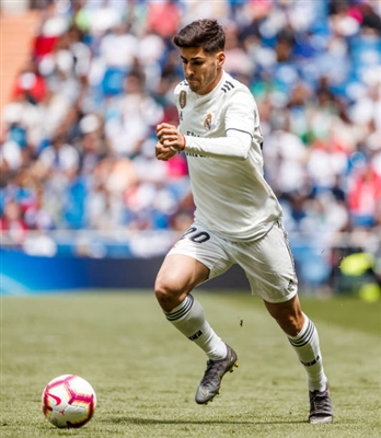 Marco Asensio Poster 10077249