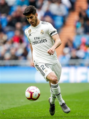 Marco Asensio Poster 10077297