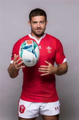 Leigh Halfpenny puzzle 10172538