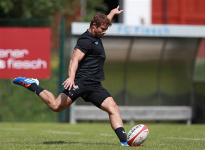 Leigh Halfpenny puzzle 10172549