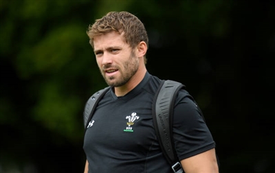 Leigh Halfpenny puzzle 10172553