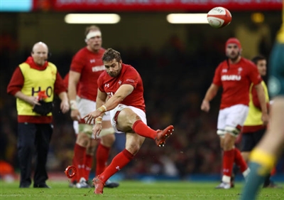 Leigh Halfpenny puzzle 10172558
