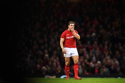 Leigh Halfpenny Stickers 10172561