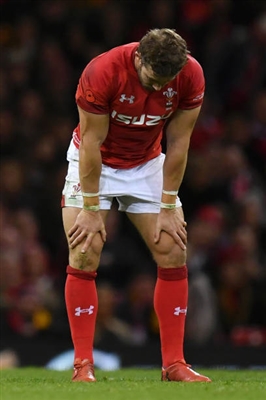 Leigh Halfpenny puzzle 10172563