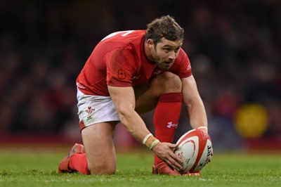 Leigh Halfpenny Stickers 10172566