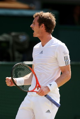 Andy Murray Poster 10206355