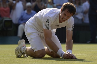 Andy Murray puzzle 10206379