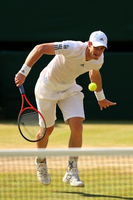 Andy Murray Poster 10206406