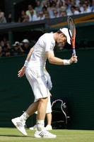 Andy Murray poster